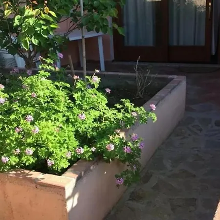Apartment Delightful Three Flat With Patio Near Budoni Tanaunella